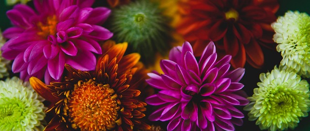 再见，巴萨U40！苏亚雷斯离队迈阿密国际，梅西独守美职联